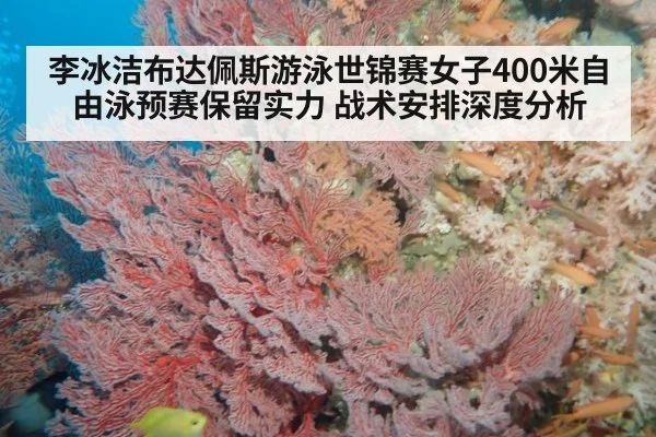 李冰洁布达佩斯游泳世锦赛女子400米自由泳预赛保留实力 战术安排深度分析